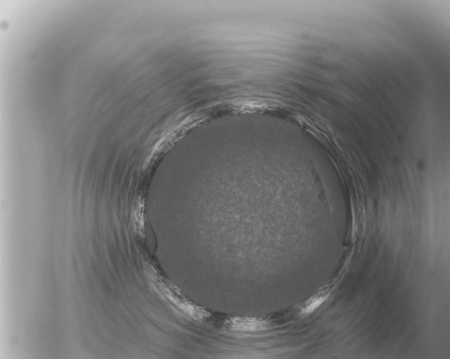 X0000056000766200508261749