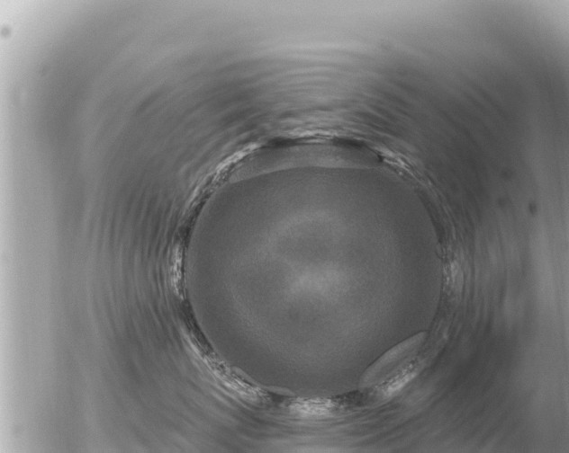 X0000056000767200508261749