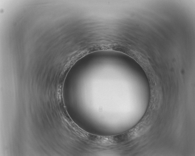 X0000056000768200508261750