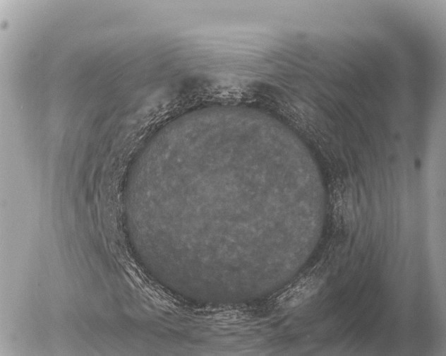 X0000056000769200508261749