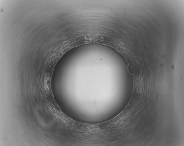 X0000056000770200508261749