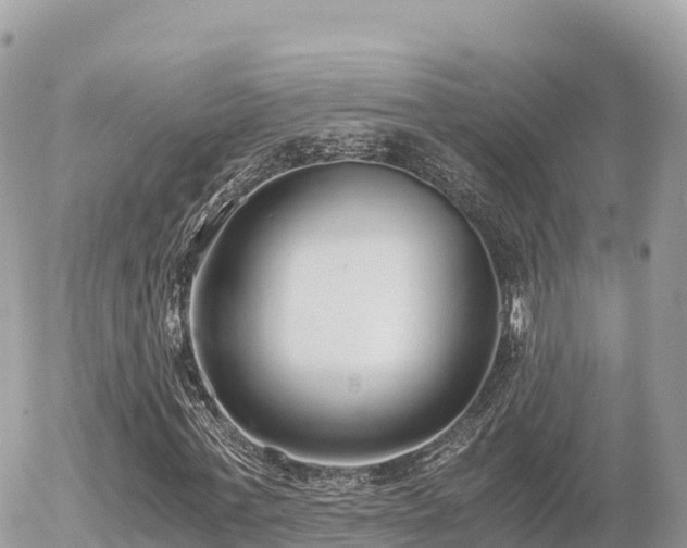 X0000056000771200508261749