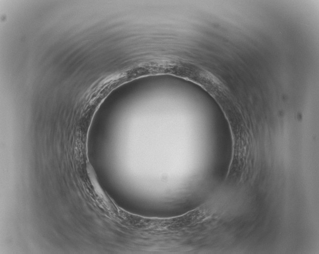 X0000056000773200508261749