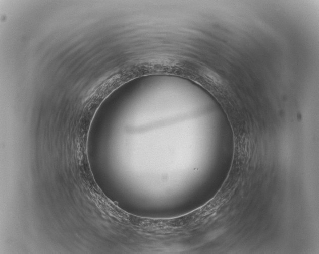 X0000056000774200508261749