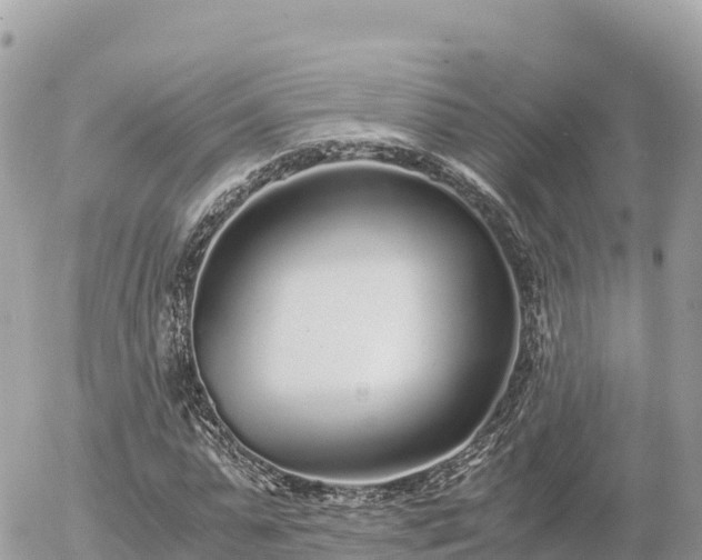 X0000056000775200508261749