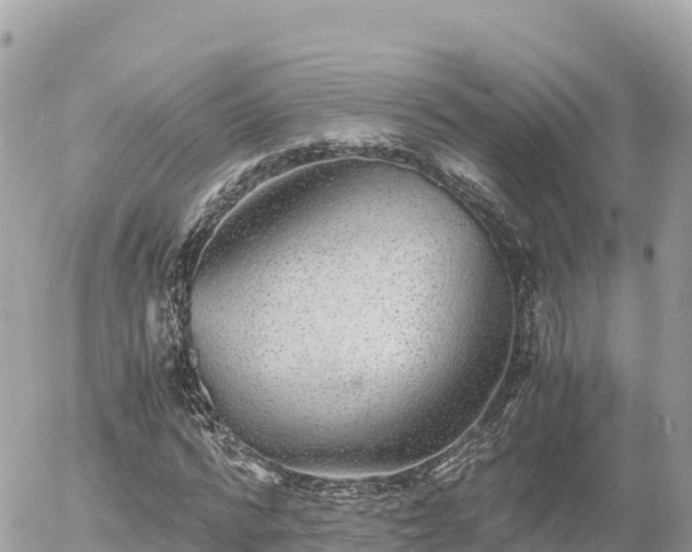 X0000056000776200508261749