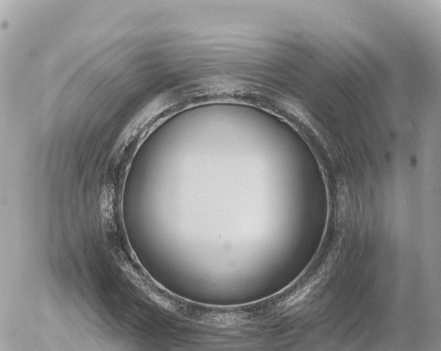 X0000056000778200508261749