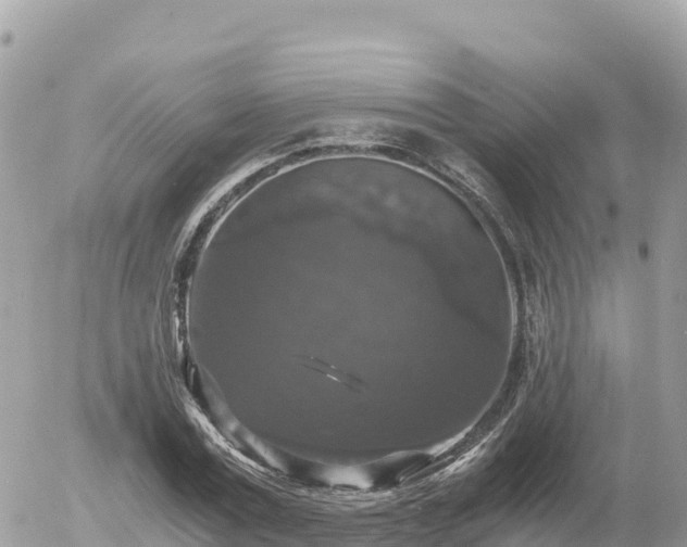 X0000056000779200508261749