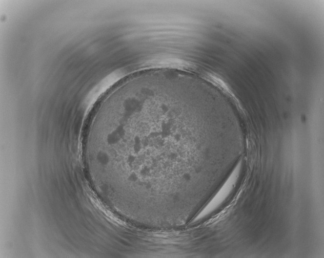 X0000056000780200508261749