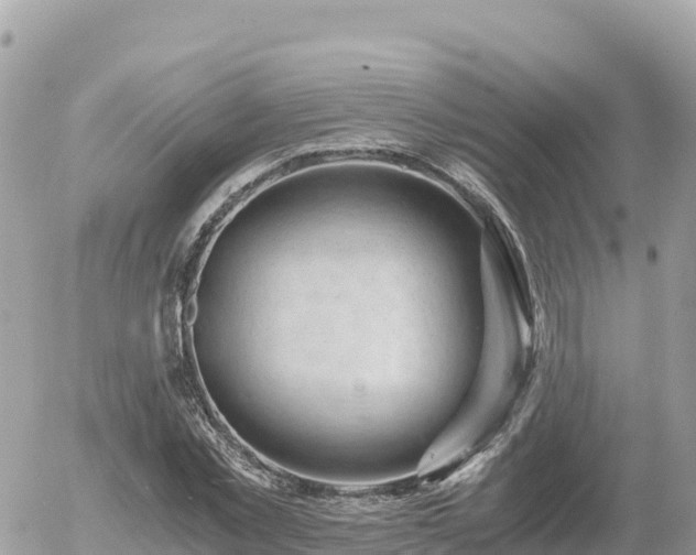 X0000056000781200508261749