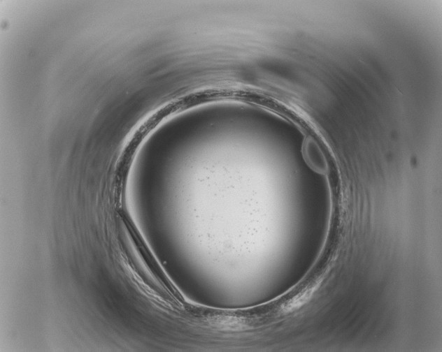 X0000056000783200508261748