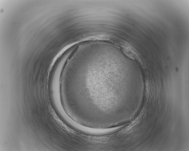 X0000056000784200508261748