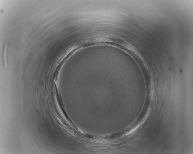 X0000056000785200508261748