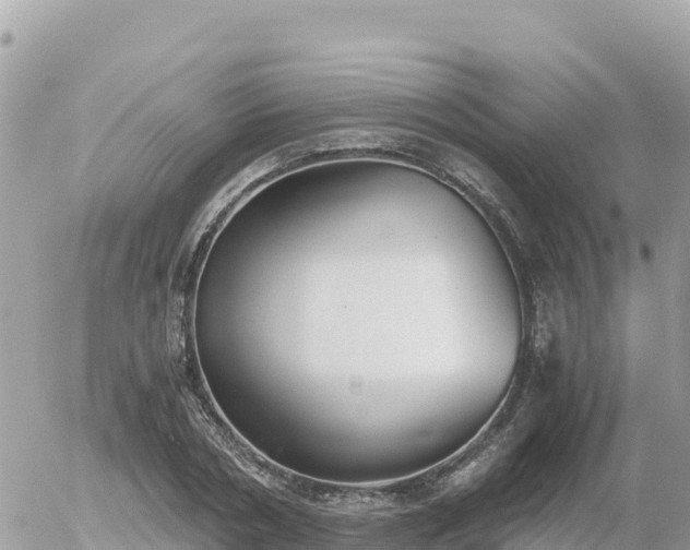 X0000056000786200508261748