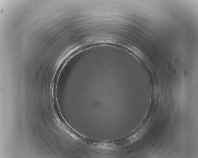 X0000056000790200508261748