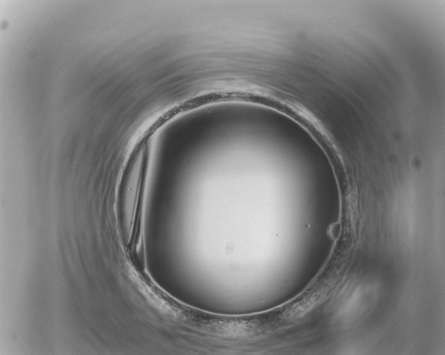 X0000056000791200508261748