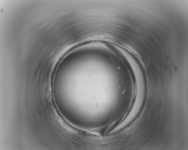 X0000056000792200508261748