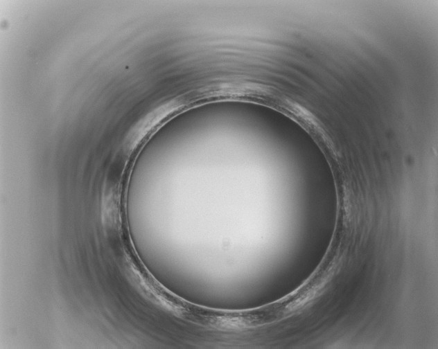 X0000056000794200508261748