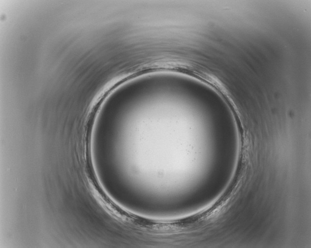 X0000056000795200508261748