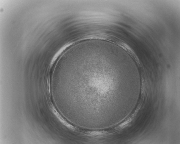 X0000056000796200508261748