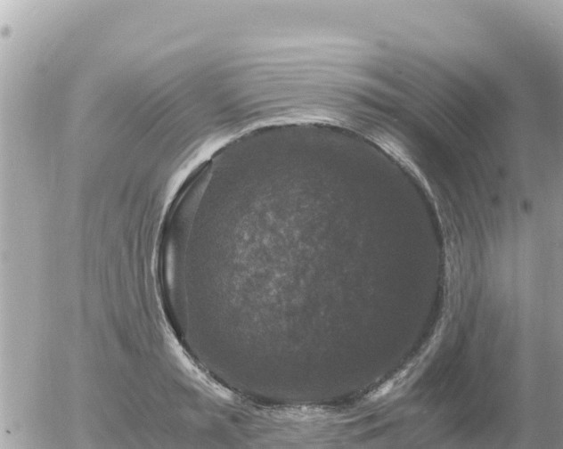 X0000056000797200508261748