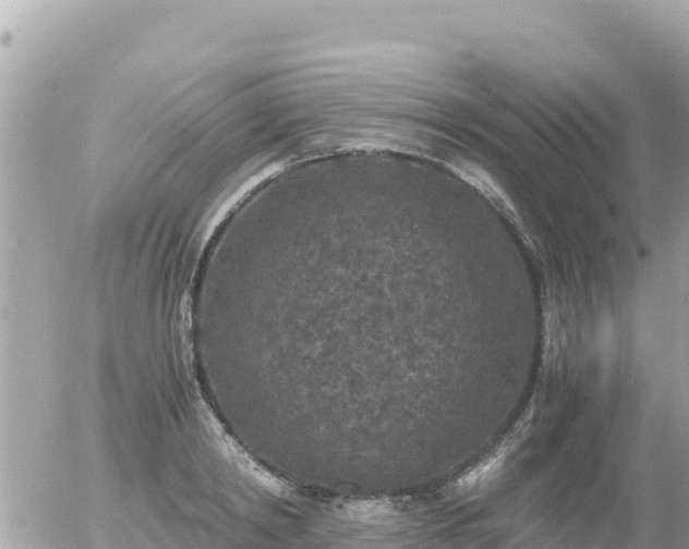 X0000056000798200508261748