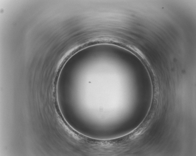 X0000056000799200508261748