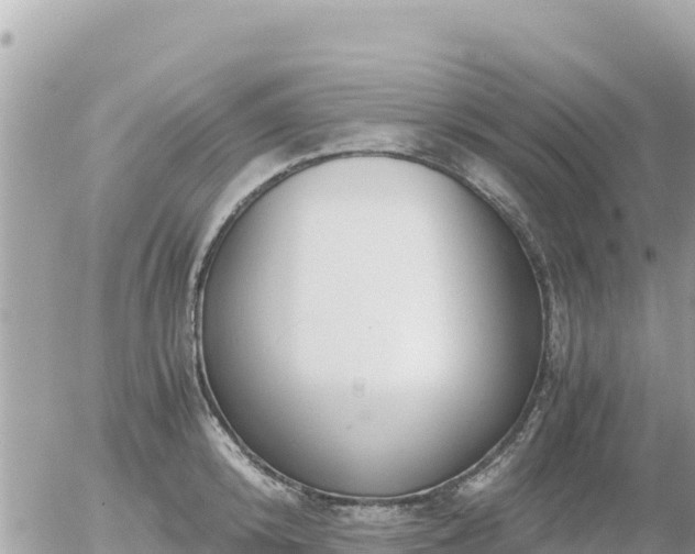 X0000056000800200508261748