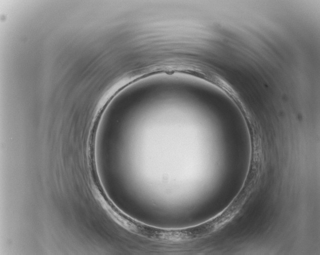 X0000056000803200508261748