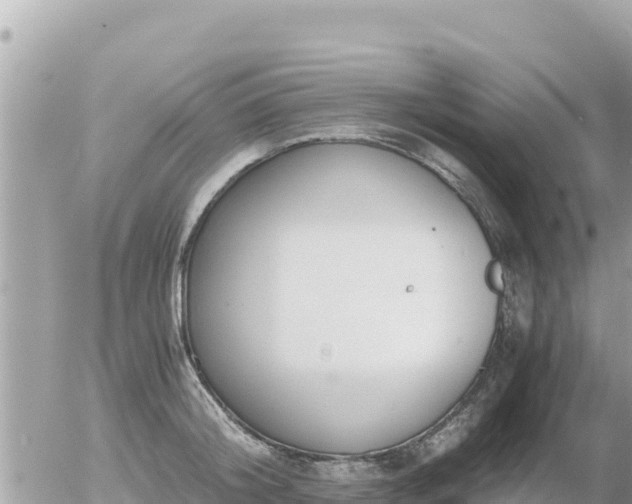 X0000056000804200508261748