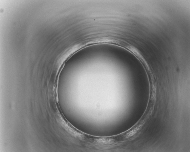 X0000056000805200508261748