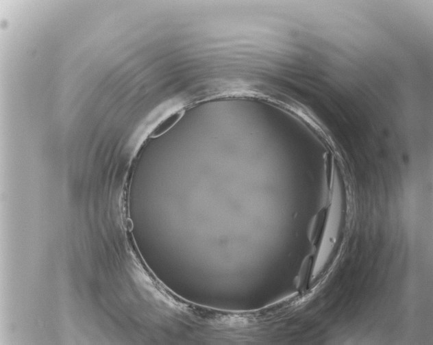 X0000056000806200508261748