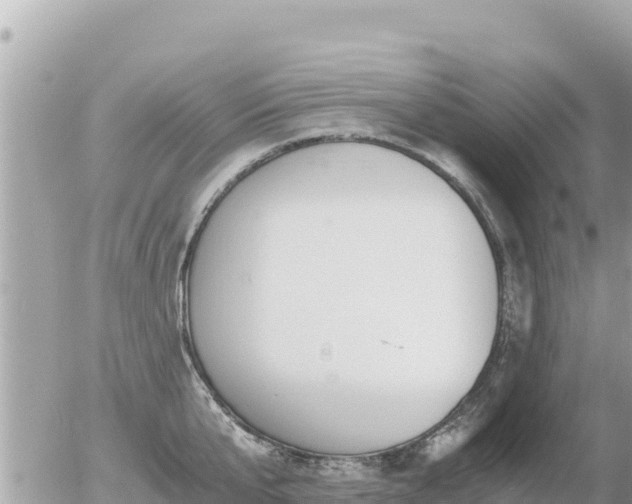 X0000056000807200508261748