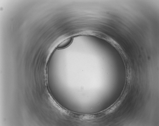 X0000056000808200508261748