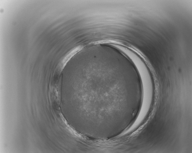 X0000056000809200508261748