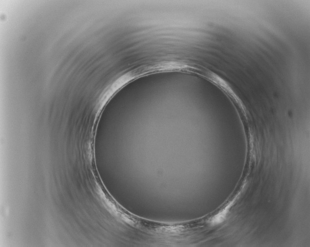 X0000056000810200508261748