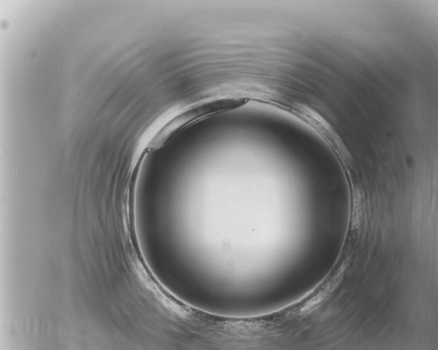 X0000056000812200508261748