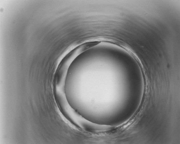 X0000056000813200508261748