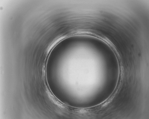 X0000056000814200508261748