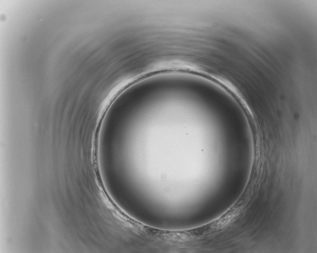 X0000056000815200508261748