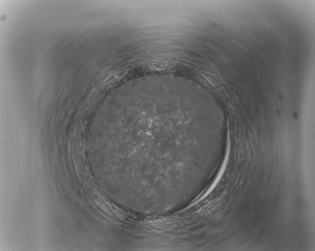 X0000056000817200508261747