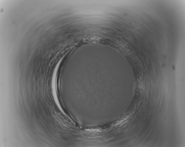 X0000056000818200508261747