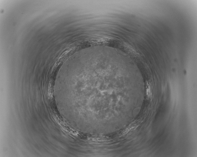 X0000056000819200508261747