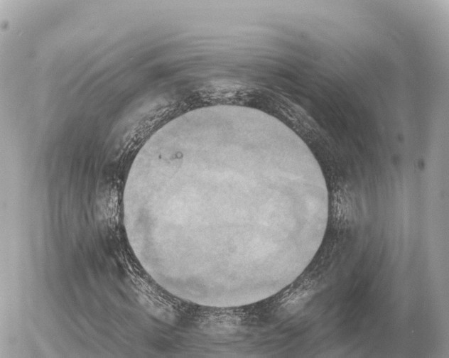 X0000056000820200508261747