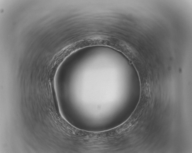 X0000056000821200508261747