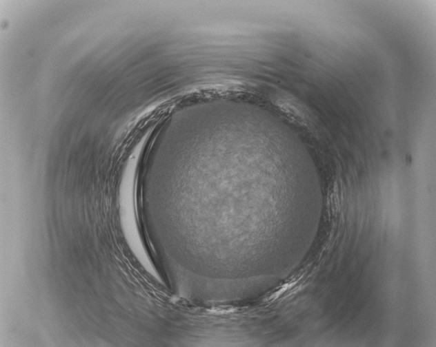 X0000056000822200508261747