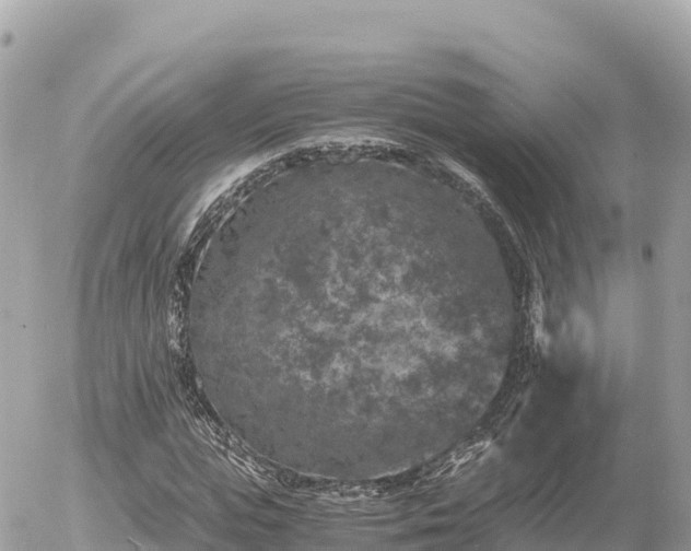 X0000056000823200508261747