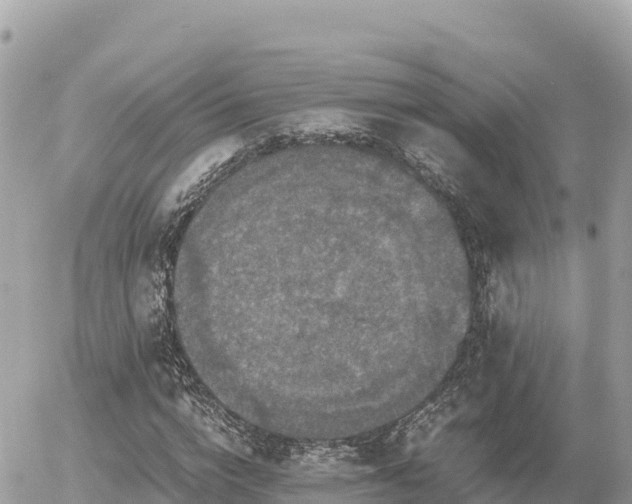 X0000056000824200508261747