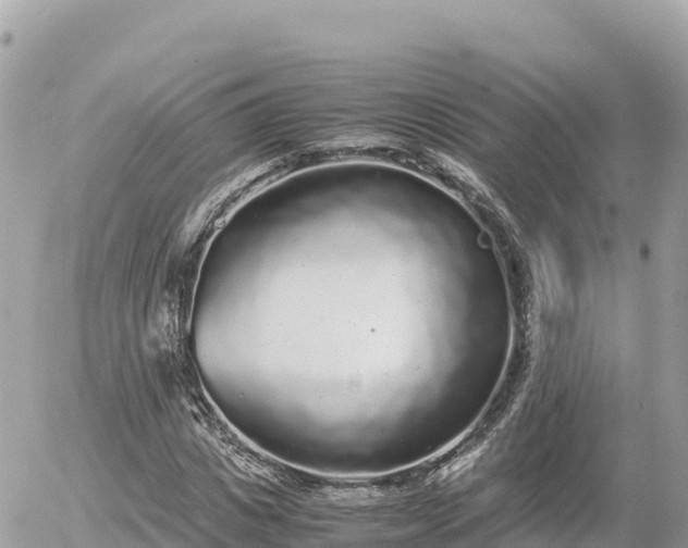 X0000056000825200508261747