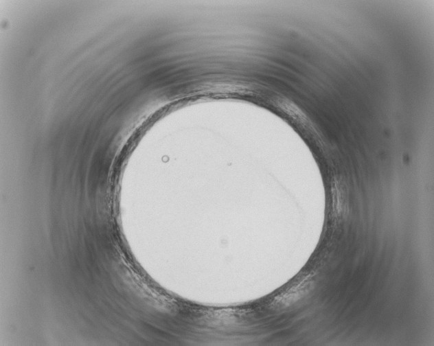 X0000056000828200508261747